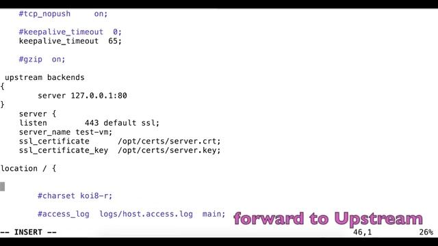 nginx ssl offloading example