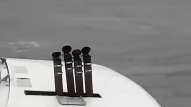 Музыкальная выхлопная система