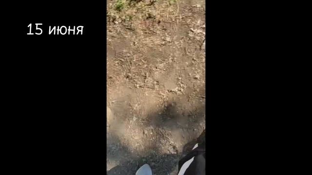 VLOG//ЛАГЕРЬ ЗАВЬЯЛОВСКИЙ||второй отряд\1 часть