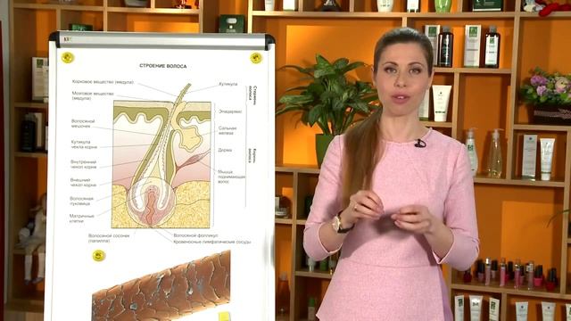 Как правильно ухаживать за волосами?