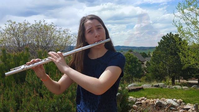 Perfect by Ed Sheeran (Violin & Flute Duet) | by Anna Sun and Charlotte Wickert