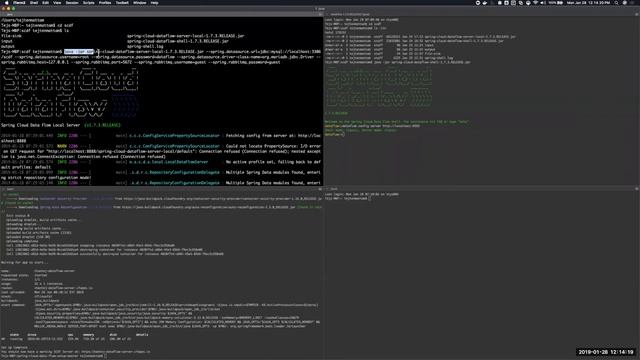 Pivotal Spring Cloud Data Flow