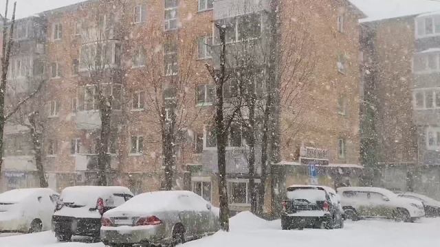 Падает снег. Снегопад во Владивостоке, 28 января 2021 года