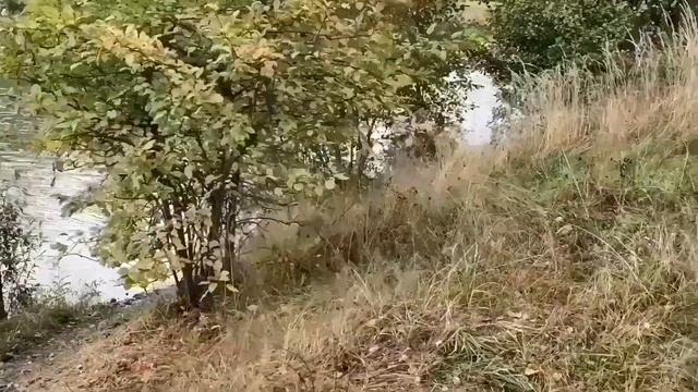 НИЩАЯ ВРЕДИНА СНОВА СКУПАЕТ ИГРУХИ. VREDINA LIFE.