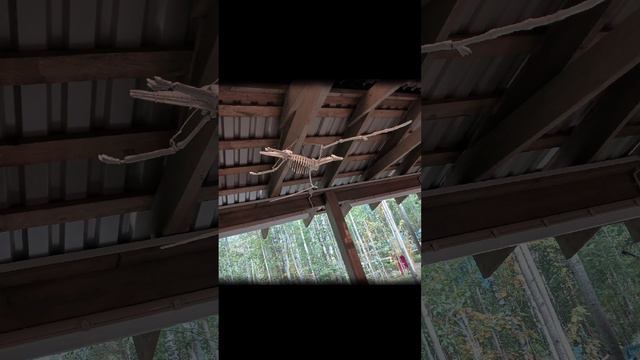 1000046774.mp4