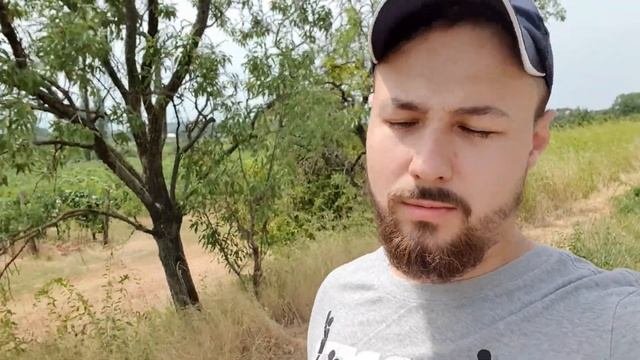 ВЛОГ: Нашли Много Еды на Улице