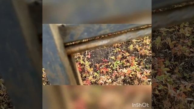 Палатка на багажнике Нивы