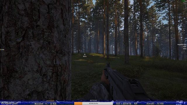 ?ВЫЖИВАЕМ в СУРОВОМ МИРЕ?☠ТЁМНАЯ СТОРОНА☠?Deadside?прямой эфир онлайн ? ▌Стрим ▌