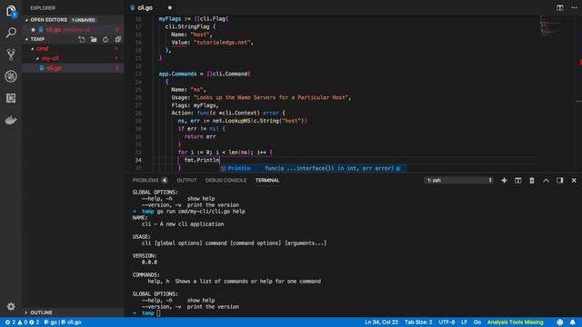 Building a Network Command Line Interface Tool In Go