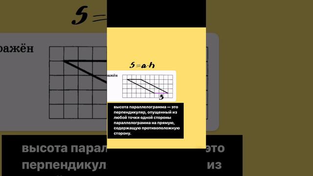 Клетчатая бумага из ОГЭ по математике