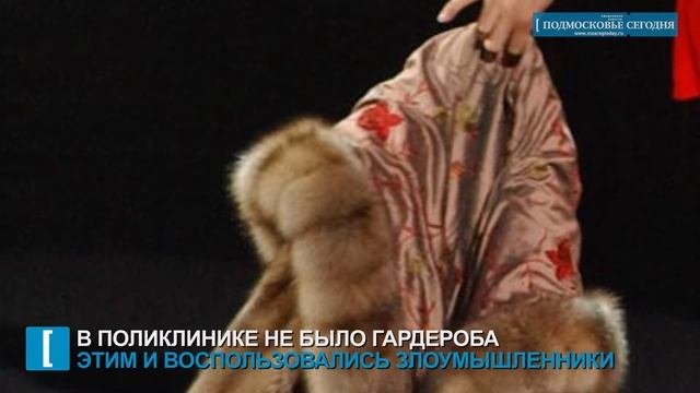 Шуба: воры верхней одежды орудуют в Щелкове