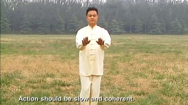 "Taiji-Qigong warm - ups" with Professor Hu Xiaofei. Обучающее видео: Разминочный комплекс Сяофэя.