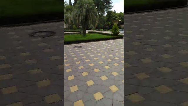 Санаторий в Сочи, 2024