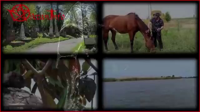Блиц 2 . Ответы на 17 вопросов. Виктан. Часть 2