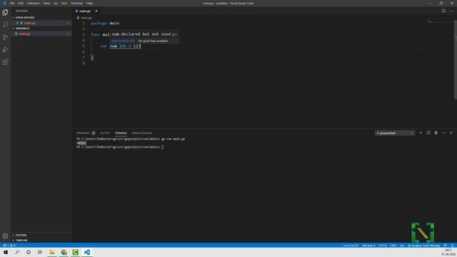 Go Installation And Variables | Golang Tutorial 2020 | Hindi