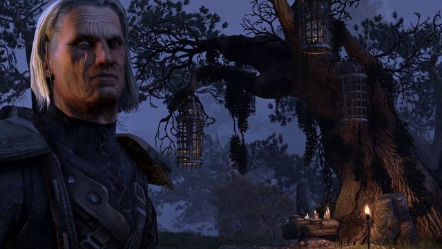 TES_Races (Waiting For Elder Scrolls VI)