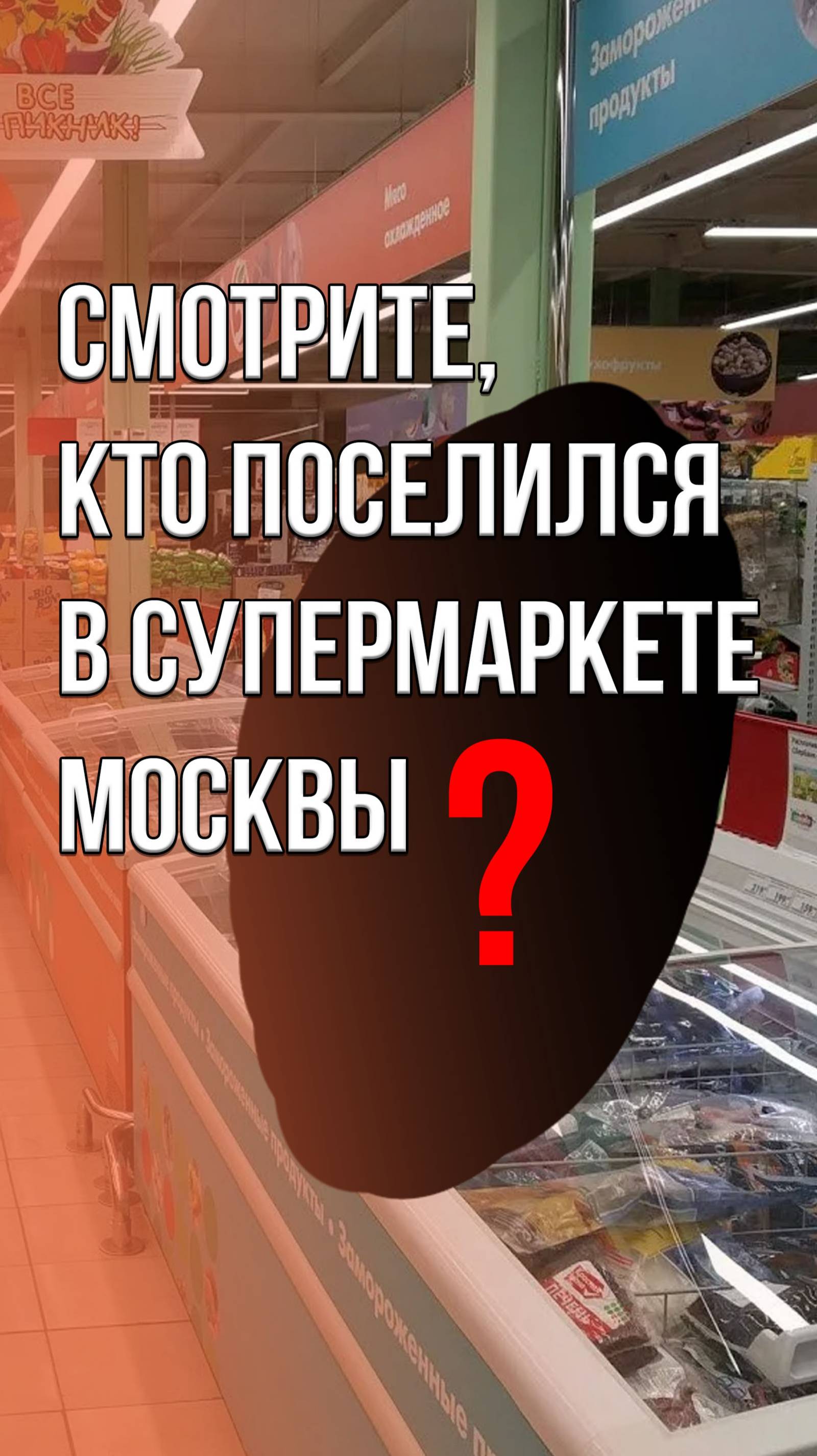 Какая прелесть! Смотрите, кто поселился в одном из супермаркетов Москвы