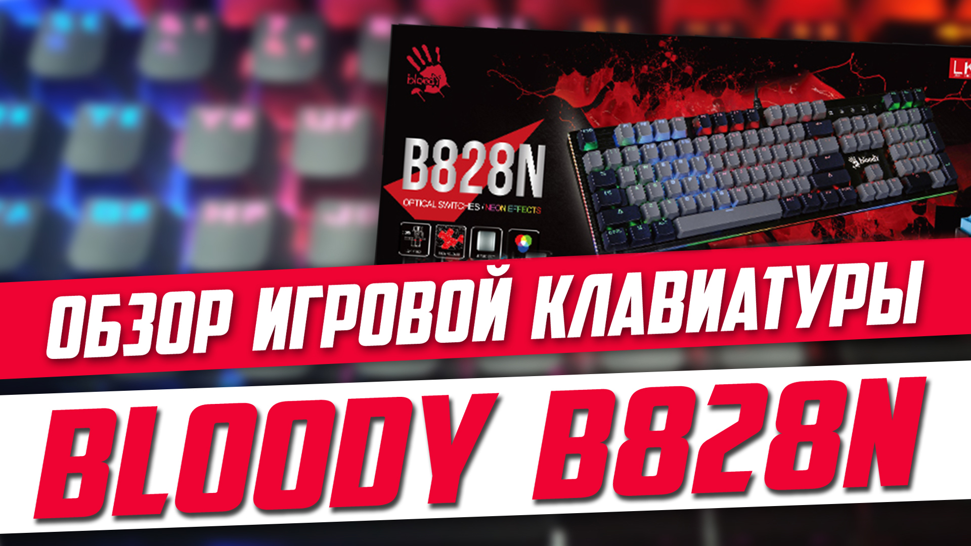 BLOODY B828N. Обзор игровой клавиатуры для макроса.