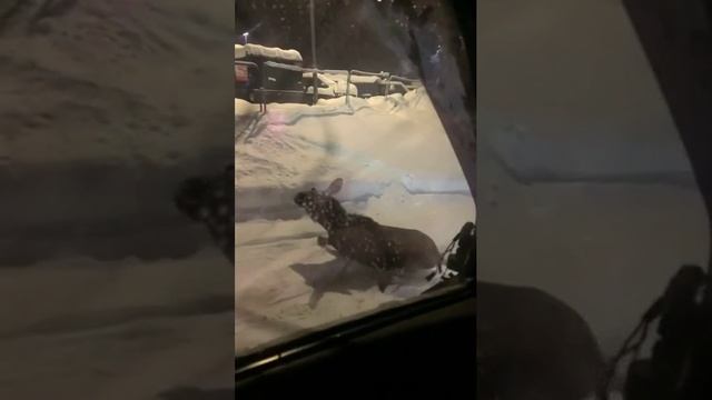 Автоподства! Когда это закончится??