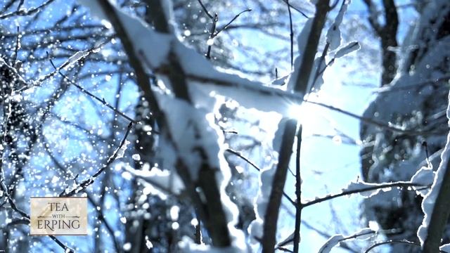 Winter Solstice: Stories and Traditions from Ancient China | Tea with Erping