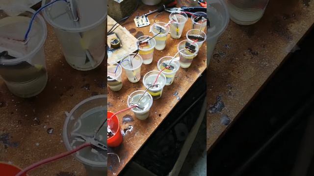 lv_0_20240804095435.mp4