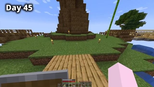 I Survived 100 Days on One Block in Minecraft Hardcore