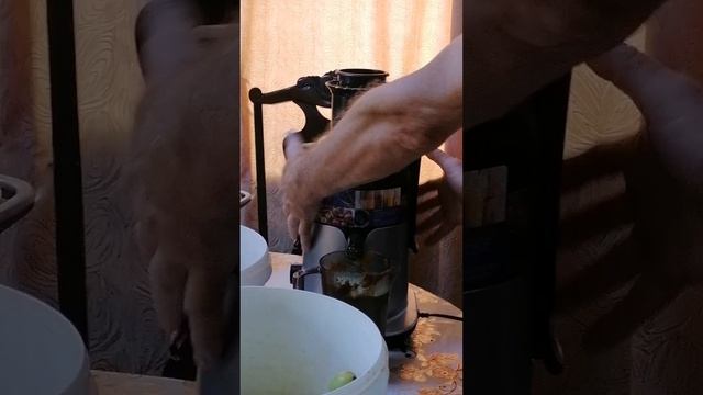 заготовка яблочного сока на зиму пастеризация