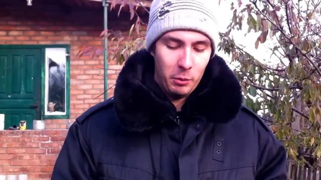 Просто четверг | Свадьба кролика | Погода дала поработать | Новые козлик и котенок:)