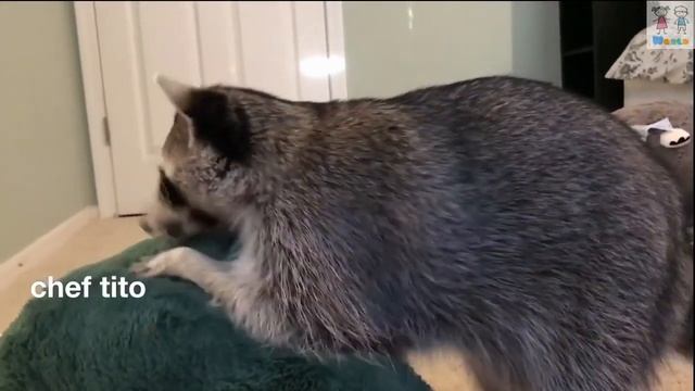 Плюшевый Авокадо мягкая игрушка