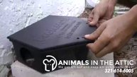Ineffective Rat Bait boxes, Rat Traps - 321-614-6005 Animals in the Attic Brevard Melbourne FL