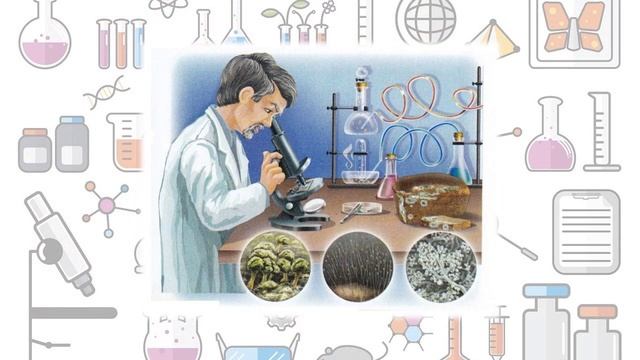 Почему? Зачем? Когда? Интересная еда.