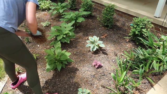 Planting Summer Annuals | Summer Flowers in Landscaping | Shade Garden Planting