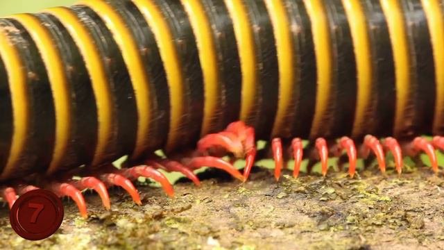 10 AMAZING Lost Worlds!!