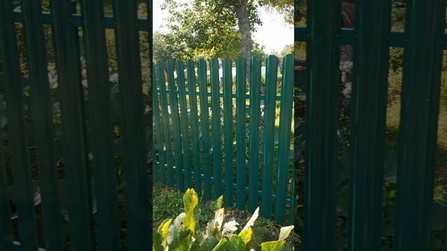 Город Ковров "Мастерок"
Установка забора из евроштакетника.