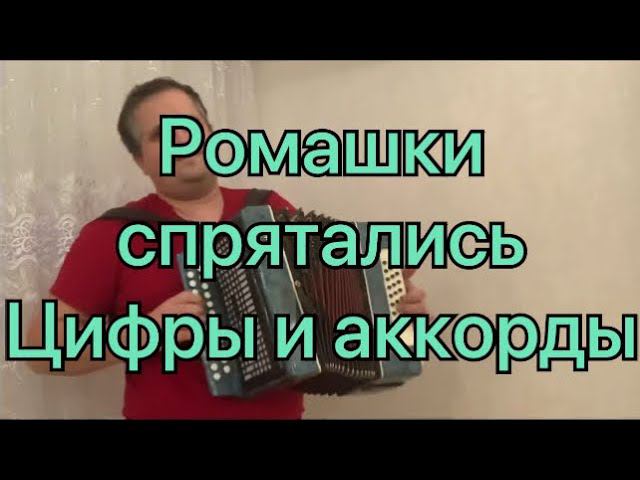 Ромашки спрятались // разбор песни по цифрам