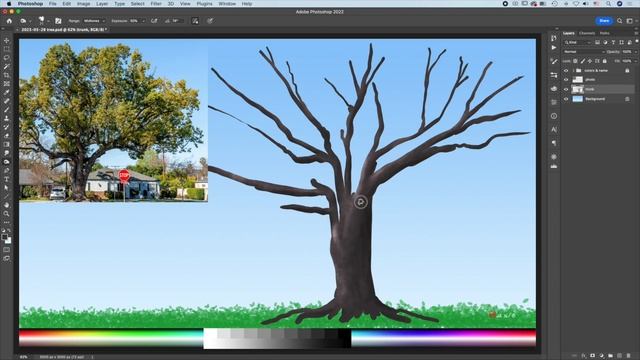 TREE - PHOTOSHOP TECHNIQUE