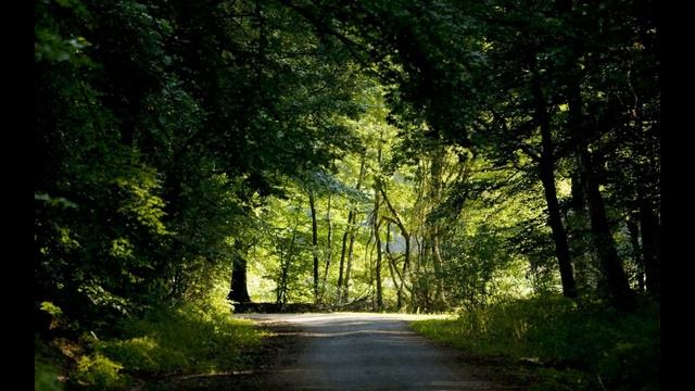 Летние пейзажи + машины, и суперкары, с иллюстрацией, и домики в горах!!!
