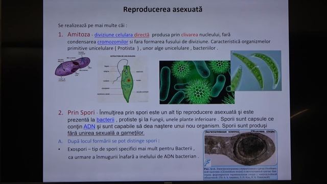 Pregătire de BAC la Biologie. Lecția 1: Însuşiri generale ale organismelor.
