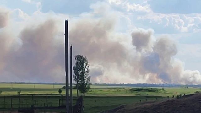 Лес в Тарасовском районе снова горит — площадь пожара достигла 15 га. 🔥