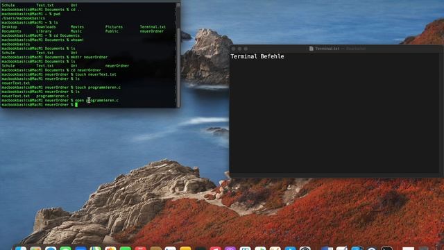 Die wichtigsten Befehle im Mac Terminal | Tutorial Deutsch