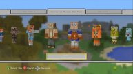 Minecraft Playstation 4 Skin Packs