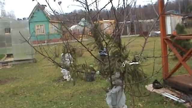 Дачные работы в Октябре