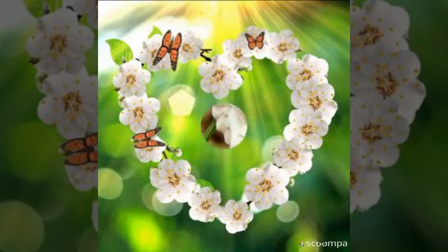 Не забудь сегодня улыбнуться.😊