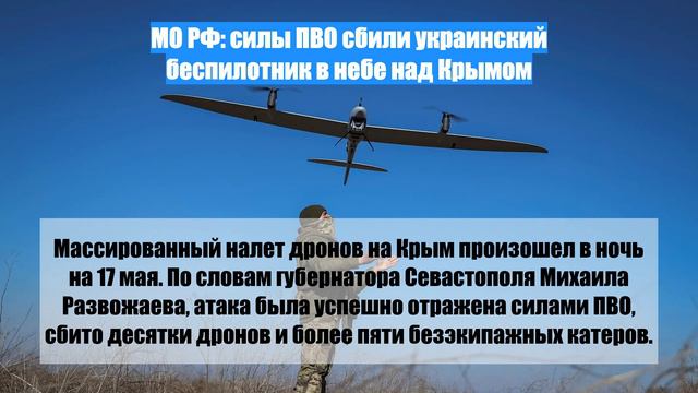 МО РФ: силы ПВО сбили украинский беспилотник в небе над Крымом