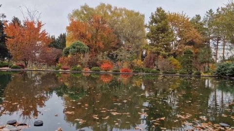 Ботанический сад Алматы сегодня, 23 октября 2023 года/Botanic garden of Almaty today, 26.10.2023