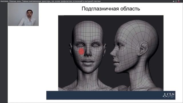 Анатомия. Опасные зоны. Главные анатомические ориентиры, как основа профилактики осложнений