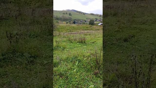 Участок рядом с Алтай Пэлас.