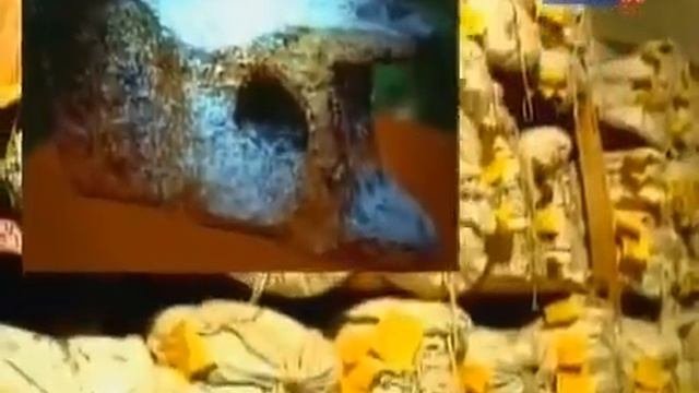 Эти находки предпочитают не показывать широкой публике.Неудобные артефакты.По следам тайны