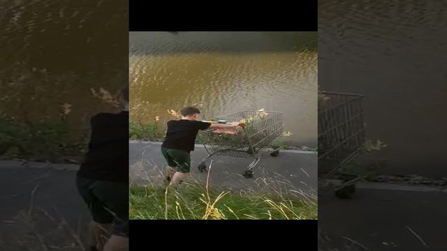 VID-20240903-WA0005.mp4