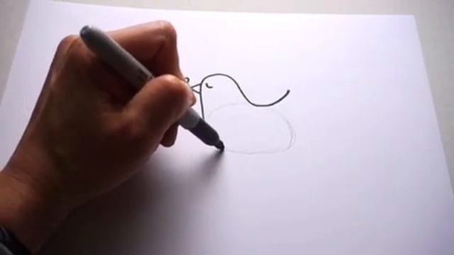 Como dibujar pajaritos 🐦 / How to draw a bird couple